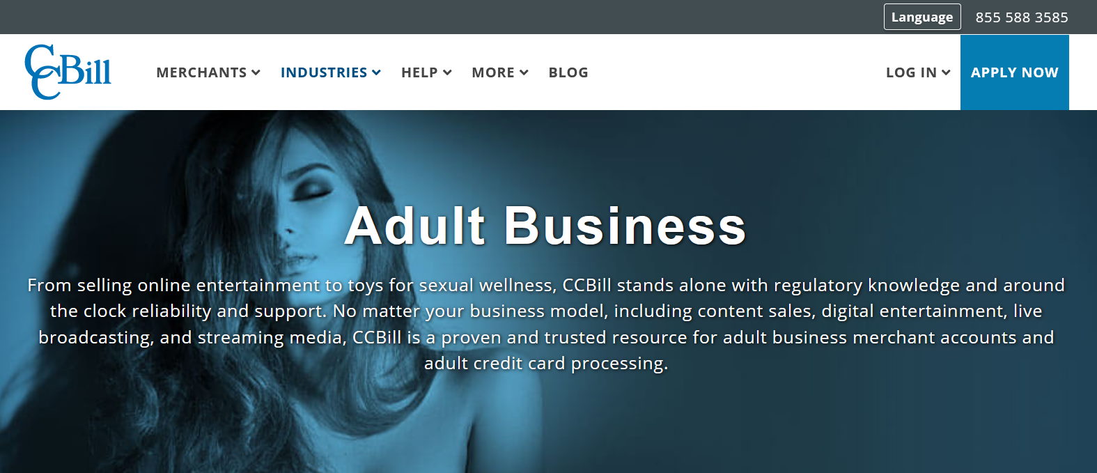 CCBill Payment Processing for Porn Sites