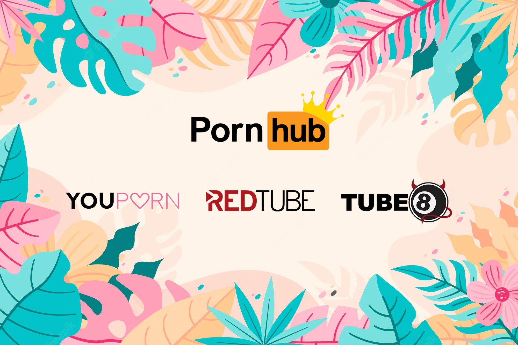 Pornhub’s Partners