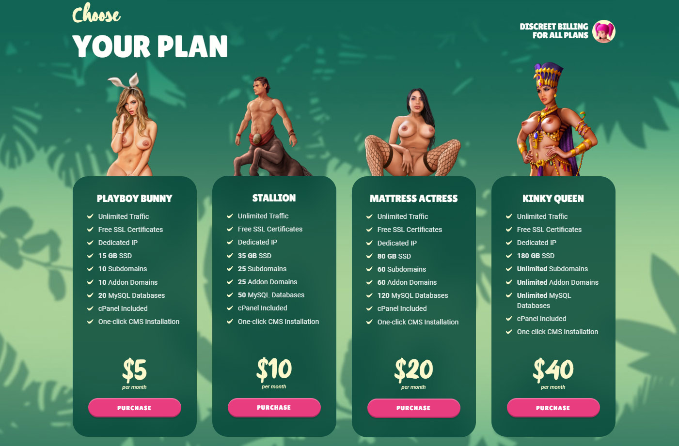 Choose a Hosting Plan