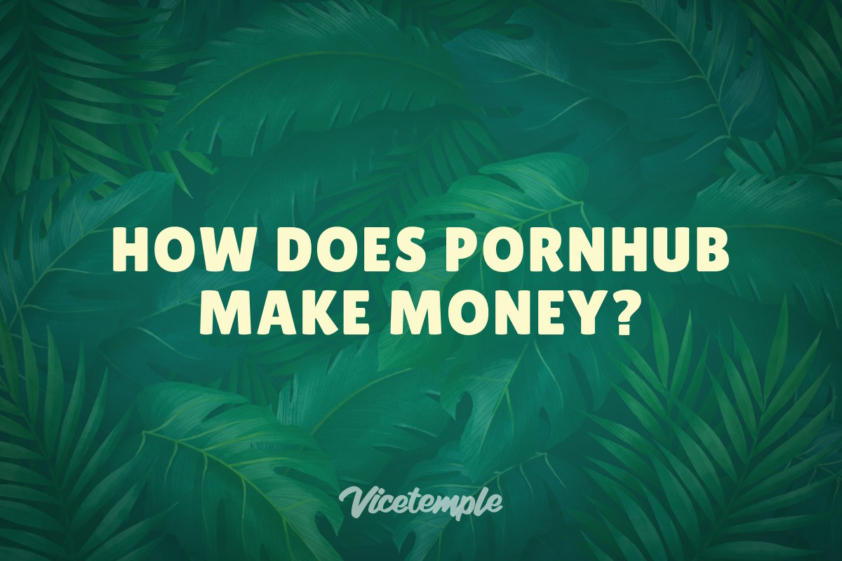 How Does Pornhub Make Money Vicetemple