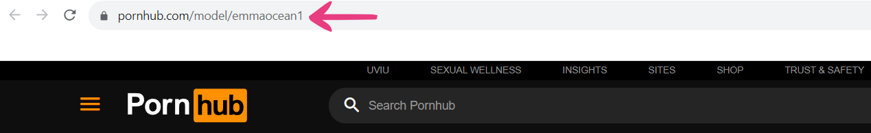 12 Pornhub Stage Name