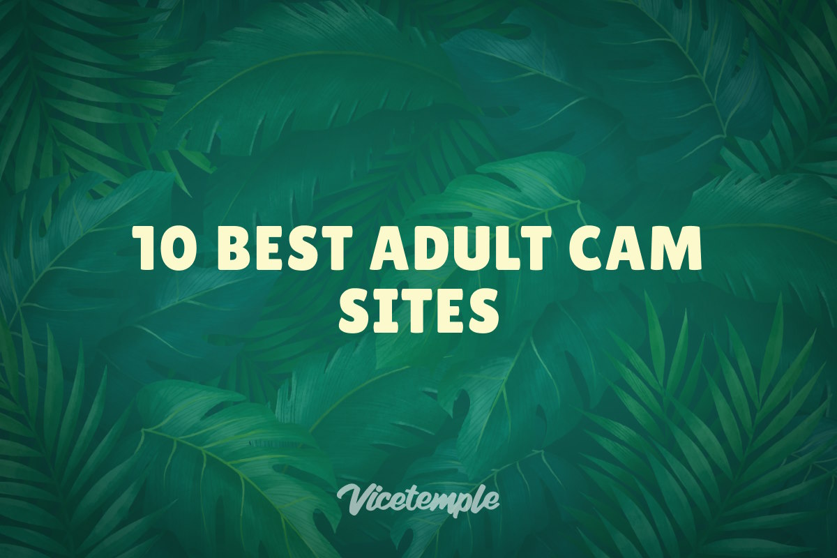 10 Best Adult Cam Sites In 2024 Vicetemple